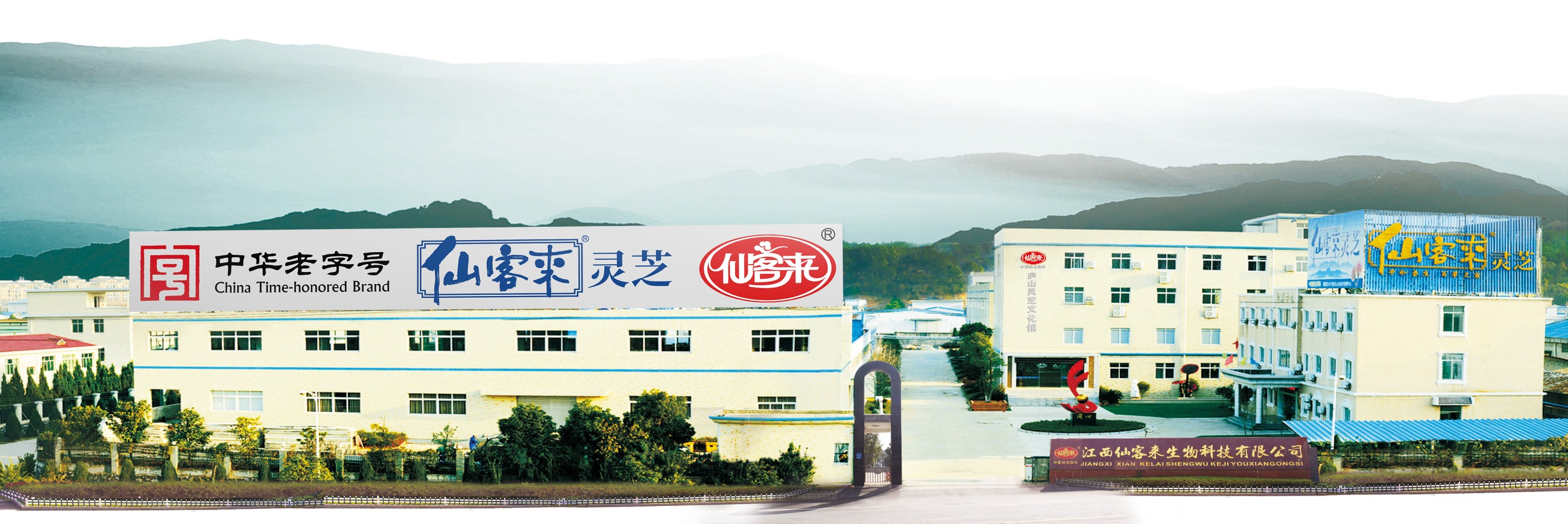 杭州亞運(yùn)會官方靈芝產(chǎn)品供應(yīng)商|杭州亞運(yùn)會官方供應(yīng)商|中國靈芝十大品牌|仙客來靈芝|仙客來靈芝破壁孢子粉|仙客來孢子油|仙客來靈芝飲片|仙客來破壁孢子粉|靈芝孢子油|孢子粉|靈芝破壁孢子粉|靈芝|中華老字號 杭州亞運(yùn)會官方靈芝產(chǎn)品供應(yīng)商|杭州亞運(yùn)會官方供應(yīng)商|中國靈芝十大品牌|仙客來靈芝|仙客來靈芝破壁孢子粉|仙客來孢子油|仙客來靈芝飲片|仙客來破壁孢子粉|靈芝孢子油|孢子粉|靈芝破壁孢子粉|靈芝|中華老字號