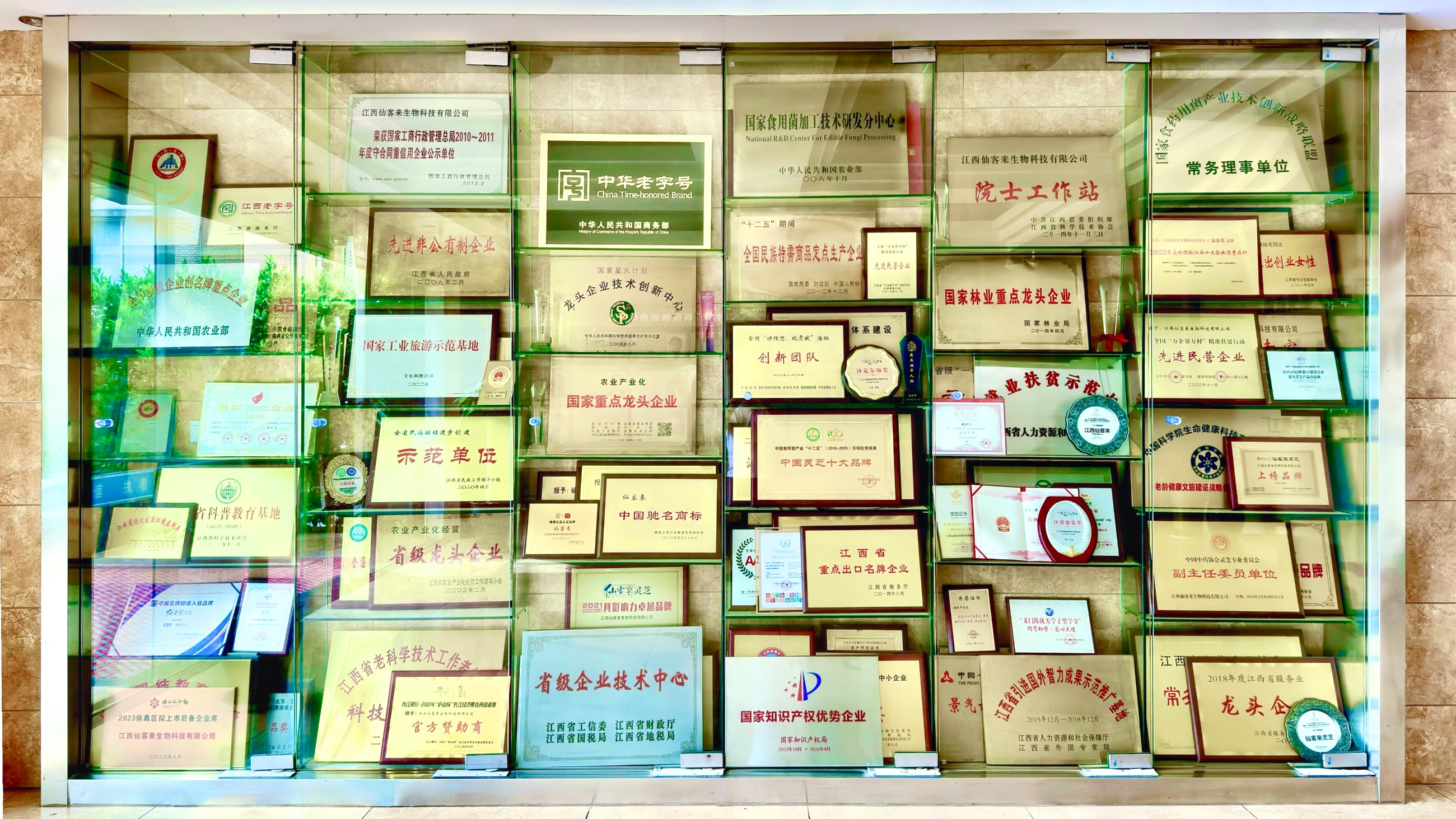 杭州亞運(yùn)會(huì)官方靈芝產(chǎn)品供應(yīng)商|杭州亞運(yùn)會(huì)官方供應(yīng)商|中國(guó)靈芝十大品牌|仙客來(lái)靈芝|仙客來(lái)靈芝破壁孢子粉|仙客來(lái)孢子油|仙客來(lái)靈芝飲片|仙客來(lái)破壁孢子粉|靈芝孢子油|孢子粉|靈芝破壁孢子粉|靈芝|中華老字號(hào) 杭州亞運(yùn)會(huì)官方靈芝產(chǎn)品供應(yīng)商|杭州亞運(yùn)會(huì)官方供應(yīng)商|中國(guó)靈芝十大品牌|仙客來(lái)靈芝|仙客來(lái)靈芝破壁孢子粉|仙客來(lái)孢子油|仙客來(lái)靈芝飲片|仙客來(lái)破壁孢子粉|靈芝孢子油|孢子粉|靈芝破壁孢子粉|靈芝|中華老字號(hào)