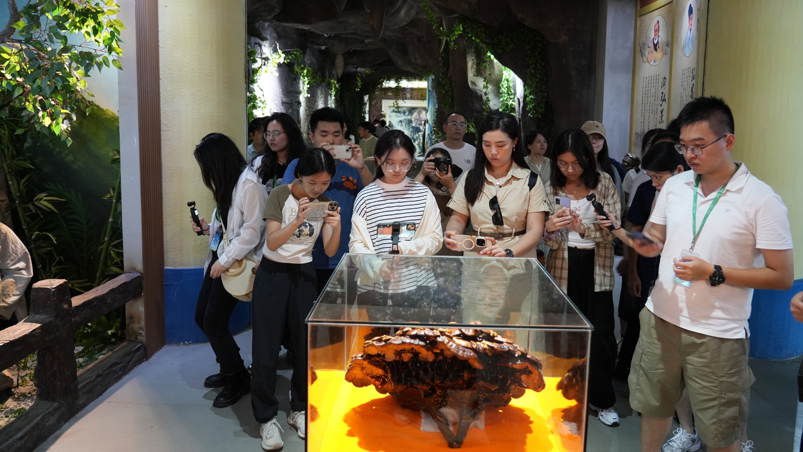 杭州亞運會官方靈芝產品供應商|杭州亞運會官方供應商|中國靈芝十大品牌|仙客來靈芝|仙客來靈芝破壁孢子粉|仙客來孢子油|仙客來靈芝飲片|仙客來破壁孢子粉|靈芝孢子油|孢子粉|靈芝破壁孢子粉|靈芝|中華老字號 杭州亞運會官方靈芝產品供應商|杭州亞運會官方供應商|中國靈芝十大品牌|仙客來靈芝|仙客來靈芝破壁孢子粉|仙客來孢子油|仙客來靈芝飲片|仙客來破壁孢子粉|靈芝孢子油|孢子粉|靈芝破壁孢子粉|靈芝|中華老字號