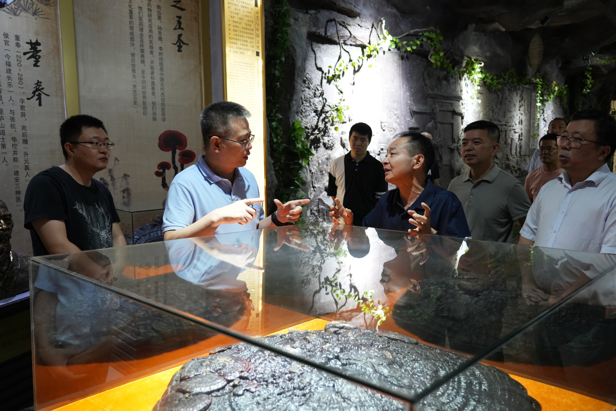 杭州亞運會官方靈芝產(chǎn)品供應(yīng)商|杭州亞運會官方供應(yīng)商|中國靈芝十大品牌|仙客來靈芝|仙客來靈芝破壁孢子粉|仙客來孢子油|仙客來靈芝飲片|仙客來破壁孢子粉|靈芝孢子油|孢子粉|靈芝破壁孢子粉|靈芝|中華老字號 杭州亞運會官方靈芝產(chǎn)品供應(yīng)商|杭州亞運會官方供應(yīng)商|中國靈芝十大品牌|仙客來靈芝|仙客來靈芝破壁孢子粉|仙客來孢子油|仙客來靈芝飲片|仙客來破壁孢子粉|靈芝孢子油|孢子粉|靈芝破壁孢子粉|靈芝|中華老字號