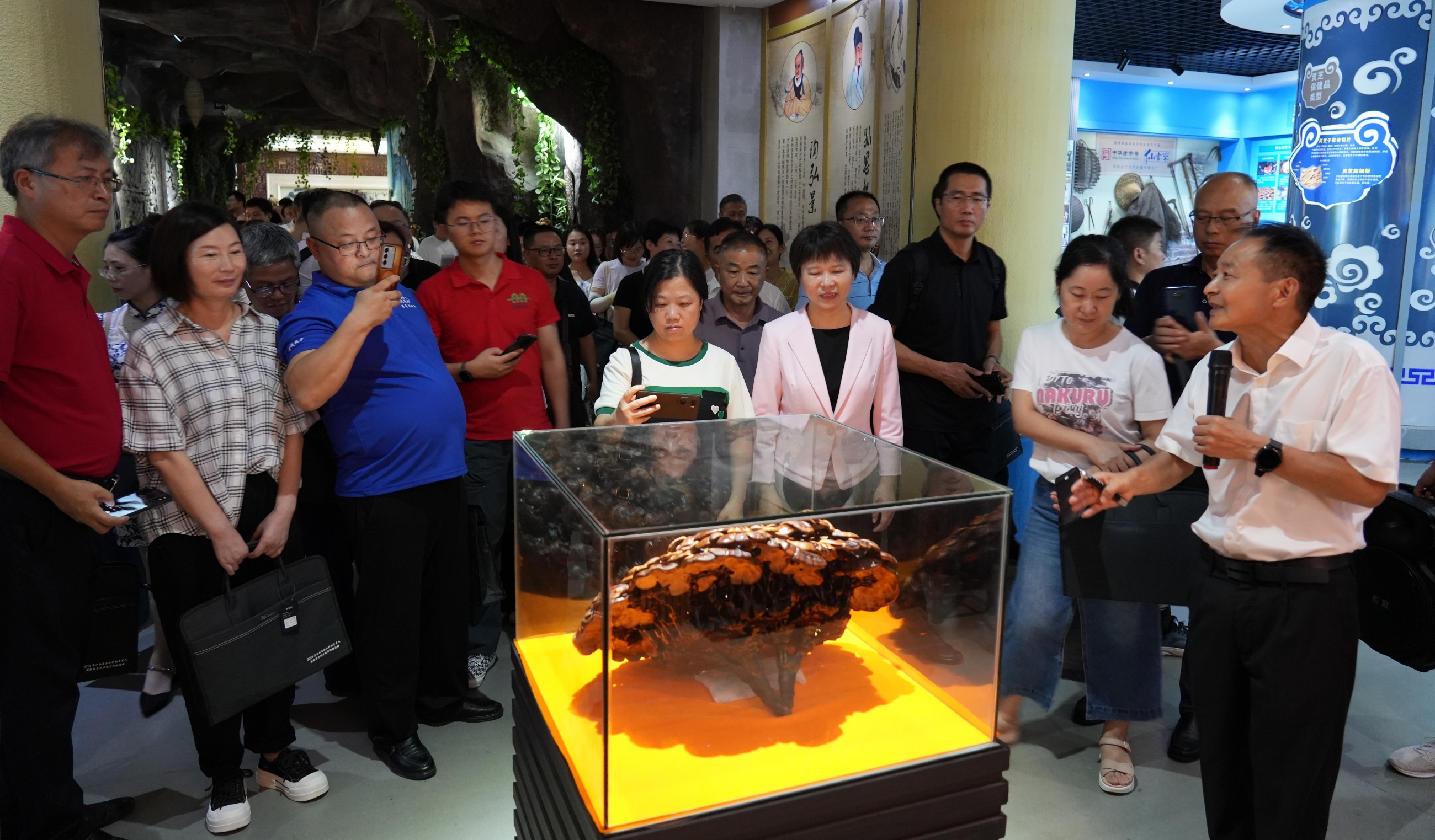 杭州亞運(yùn)會(huì)官方靈芝產(chǎn)品供應(yīng)商|杭州亞運(yùn)會(huì)官方供應(yīng)商|中國(guó)靈芝十大品牌|仙客來靈芝|仙客來靈芝破壁孢子粉|仙客來孢子油|仙客來靈芝飲片|仙客來破壁孢子粉|靈芝孢子油|孢子粉|靈芝破壁孢子粉|靈芝|中華老字號(hào) 杭州亞運(yùn)會(huì)官方靈芝產(chǎn)品供應(yīng)商|杭州亞運(yùn)會(huì)官方供應(yīng)商|中國(guó)靈芝十大品牌|仙客來靈芝|仙客來靈芝破壁孢子粉|仙客來孢子油|仙客來靈芝飲片|仙客來破壁孢子粉|靈芝孢子油|孢子粉|靈芝破壁孢子粉|靈芝|中華老字號(hào)