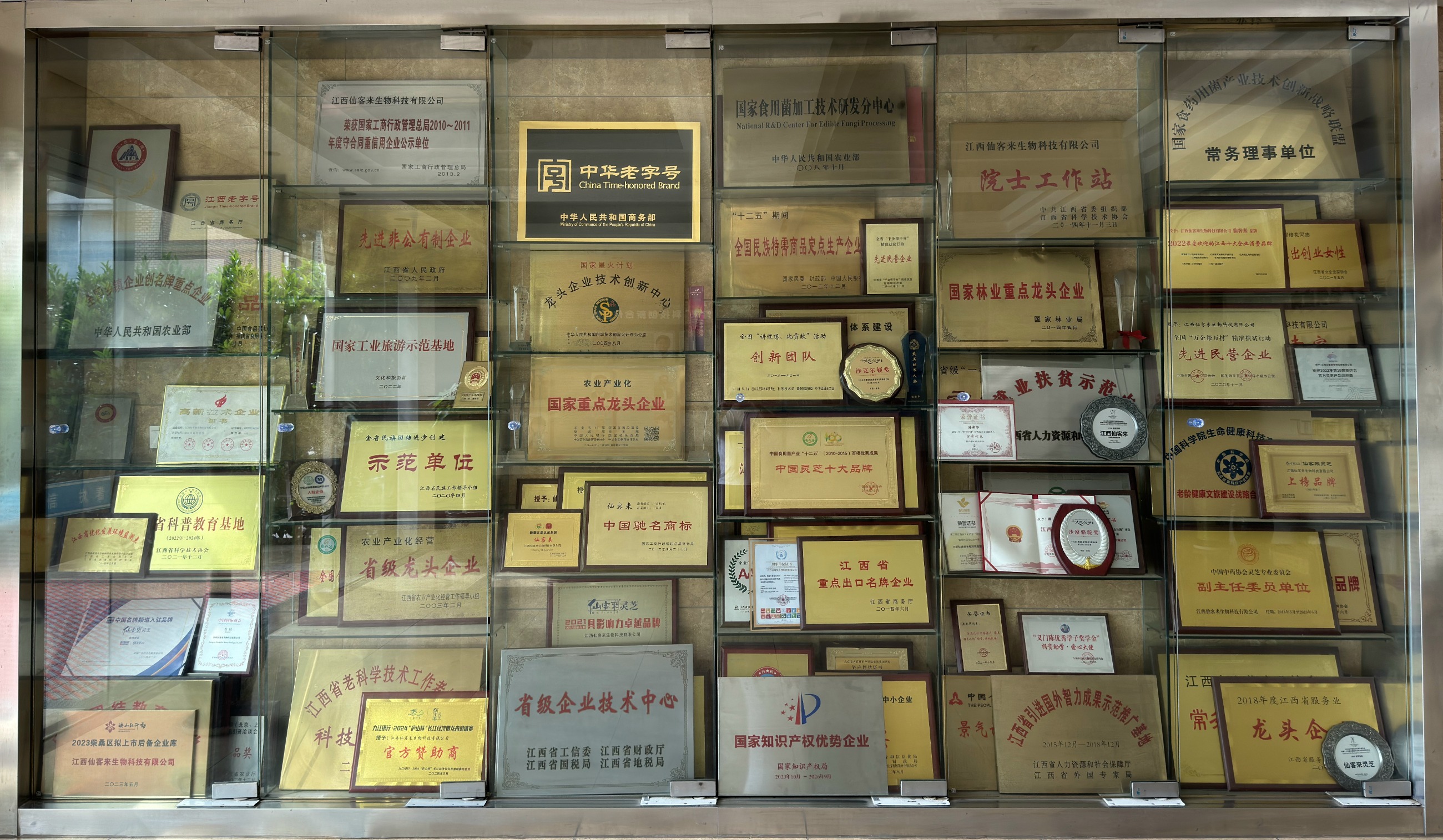 杭州亞運(yùn)會(huì)官方靈芝產(chǎn)品供應(yīng)商|杭州亞運(yùn)會(huì)官方供應(yīng)商|中國(guó)靈芝十大品牌|仙客來靈芝|仙客來靈芝破壁孢子粉|仙客來孢子油|仙客來靈芝飲片|仙客來破壁孢子粉|靈芝孢子油|孢子粉|靈芝破壁孢子粉|靈芝|中華老字號(hào) 杭州亞運(yùn)會(huì)官方靈芝產(chǎn)品供應(yīng)商|杭州亞運(yùn)會(huì)官方供應(yīng)商|中國(guó)靈芝十大品牌|仙客來靈芝|仙客來靈芝破壁孢子粉|仙客來孢子油|仙客來靈芝飲片|仙客來破壁孢子粉|靈芝孢子油|孢子粉|靈芝破壁孢子粉|靈芝|中華老字號(hào)