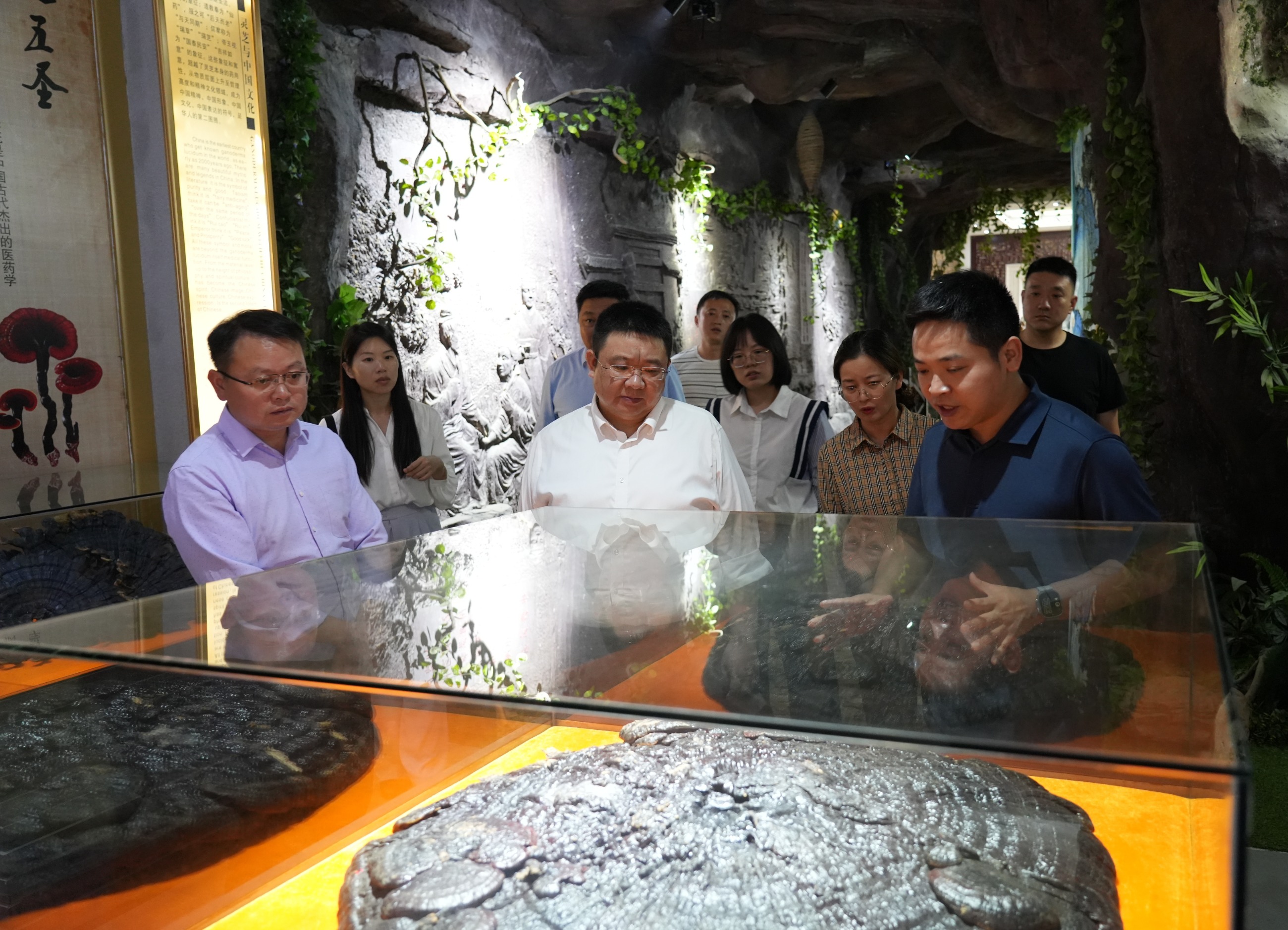 杭州亞運會官方靈芝產品供應商|杭州亞運會官方供應商|中國靈芝十大品牌|仙客來靈芝|仙客來靈芝破壁孢子粉|仙客來孢子油|仙客來靈芝飲片|仙客來破壁孢子粉|靈芝孢子油|孢子粉|靈芝破壁孢子粉|靈芝|中華老字號 杭州亞運會官方靈芝產品供應商|杭州亞運會官方供應商|中國靈芝十大品牌|仙客來靈芝|仙客來靈芝破壁孢子粉|仙客來孢子油|仙客來靈芝飲片|仙客來破壁孢子粉|靈芝孢子油|孢子粉|靈芝破壁孢子粉|靈芝|中華老字號