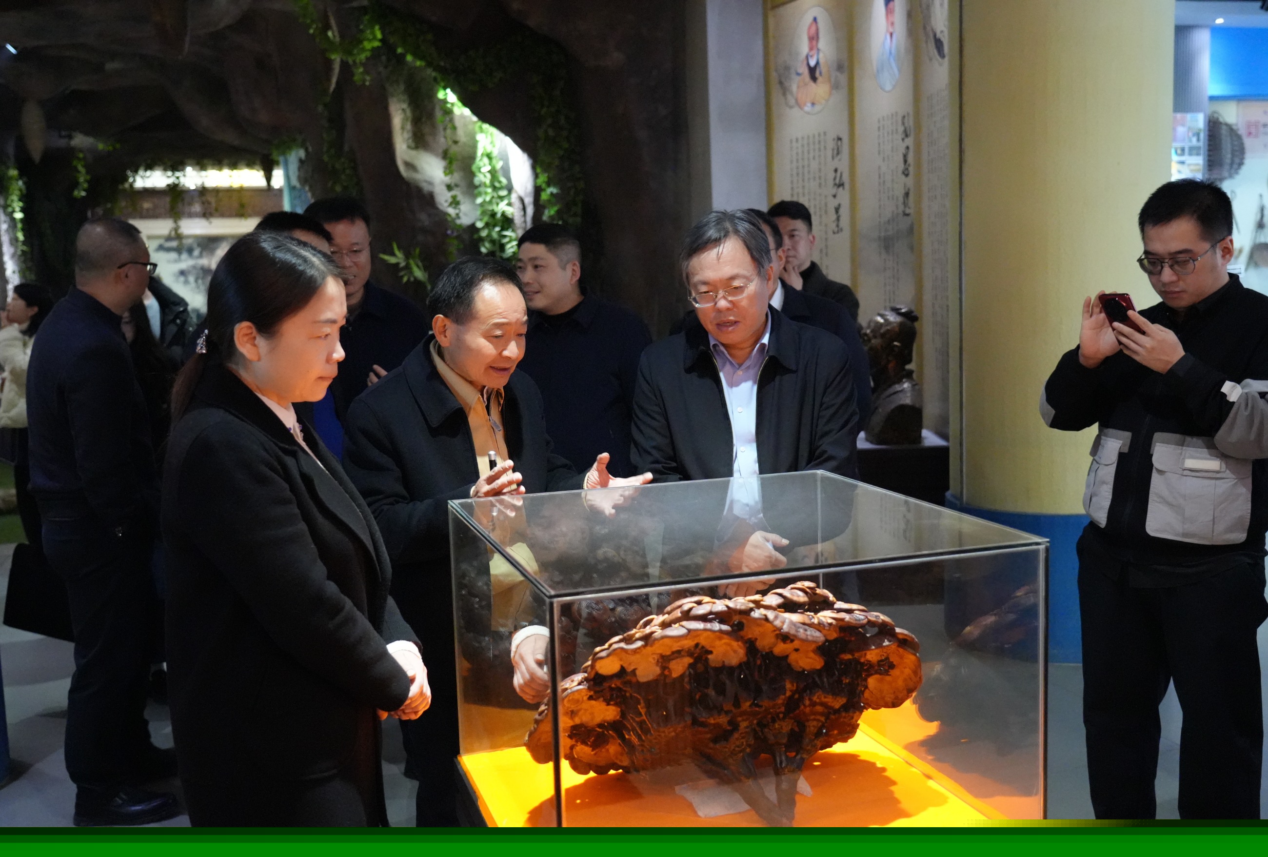 杭州亞運(yùn)會官方靈芝產(chǎn)品供應(yīng)商|杭州亞運(yùn)會官方供應(yīng)商|中國靈芝十大品牌|仙客來靈芝|仙客來靈芝破壁孢子粉|仙客來孢子油|仙客來靈芝飲片|仙客來破壁孢子粉|靈芝孢子油|孢子粉|靈芝破壁孢子粉|靈芝|中華老字號 杭州亞運(yùn)會官方靈芝產(chǎn)品供應(yīng)商|杭州亞運(yùn)會官方供應(yīng)商|中國靈芝十大品牌|仙客來靈芝|仙客來靈芝破壁孢子粉|仙客來孢子油|仙客來靈芝飲片|仙客來破壁孢子粉|靈芝孢子油|孢子粉|靈芝破壁孢子粉|靈芝|中華老字號