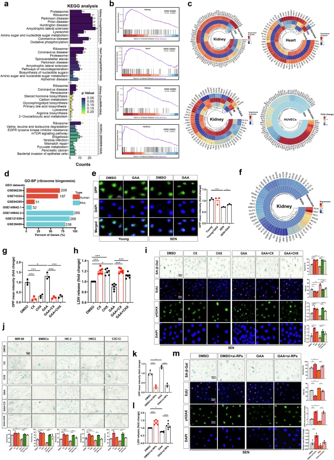 杭州亞運會官方靈芝產(chǎn)品供應(yīng)商|杭州亞運會官方供應(yīng)商|中國靈芝十大品牌|仙客來靈芝|仙客來靈芝破壁孢子粉|仙客來孢子油|仙客來靈芝飲片|仙客來破壁孢子粉|靈芝孢子油|孢子粉|靈芝破壁孢子粉|靈芝|中華老字號 杭州亞運會官方靈芝產(chǎn)品供應(yīng)商|杭州亞運會官方供應(yīng)商|中國靈芝十大品牌|仙客來靈芝|仙客來靈芝破壁孢子粉|仙客來孢子油|仙客來靈芝飲片|仙客來破壁孢子粉|靈芝孢子油|孢子粉|靈芝破壁孢子粉|靈芝|中華老字號