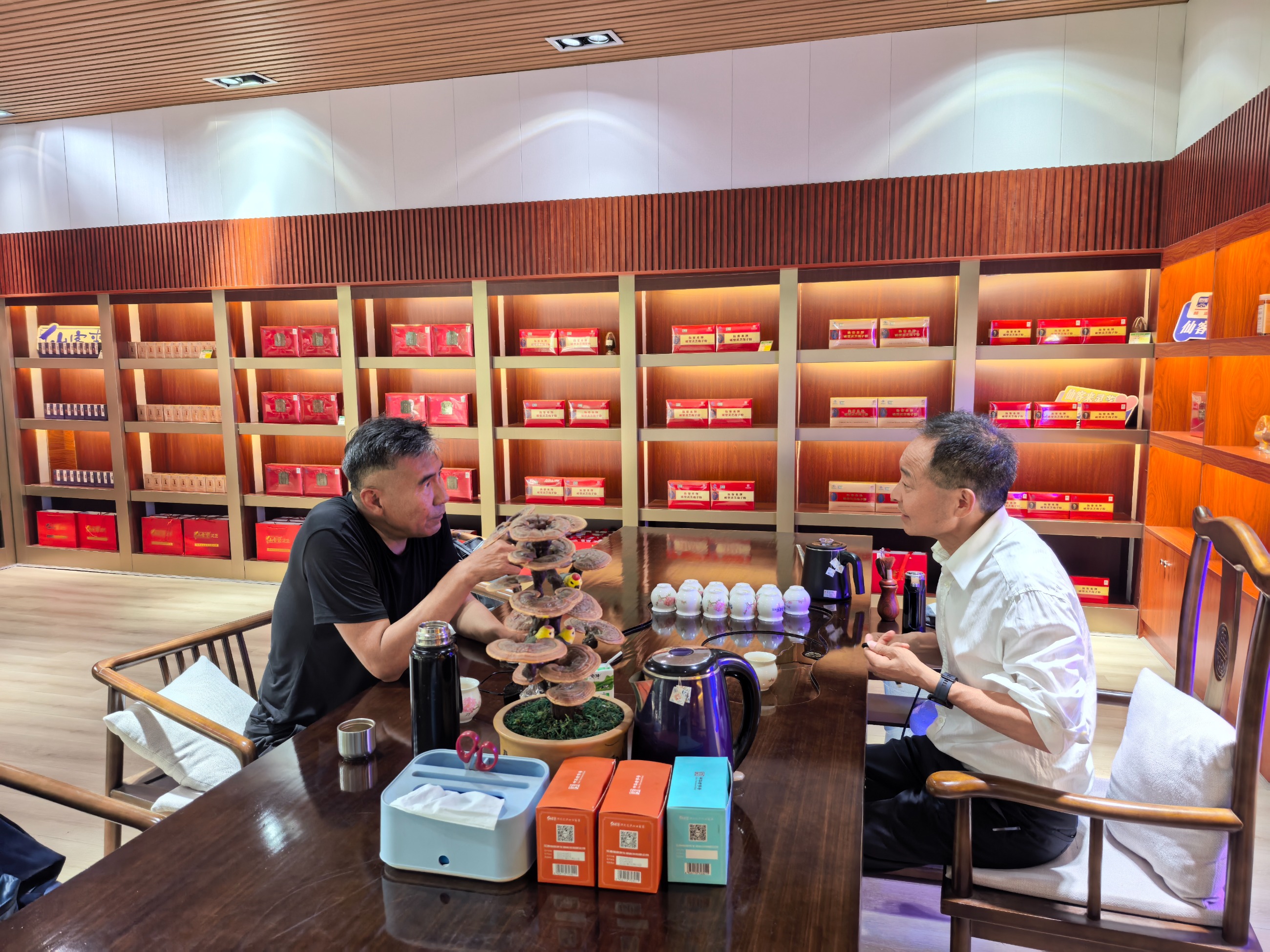 杭州亞運會官方靈芝產(chǎn)品供應商|杭州亞運會官方供應商|中國靈芝十大品牌|仙客來靈芝|仙客來靈芝破壁孢子粉|仙客來孢子油|仙客來靈芝飲片|仙客來破壁孢子粉|靈芝孢子油|孢子粉|靈芝破壁孢子粉|靈芝|中華老字號 杭州亞運會官方靈芝產(chǎn)品供應商|杭州亞運會官方供應商|中國靈芝十大品牌|仙客來靈芝|仙客來靈芝破壁孢子粉|仙客來孢子油|仙客來靈芝飲片|仙客來破壁孢子粉|靈芝孢子油|孢子粉|靈芝破壁孢子粉|靈芝|中華老字號