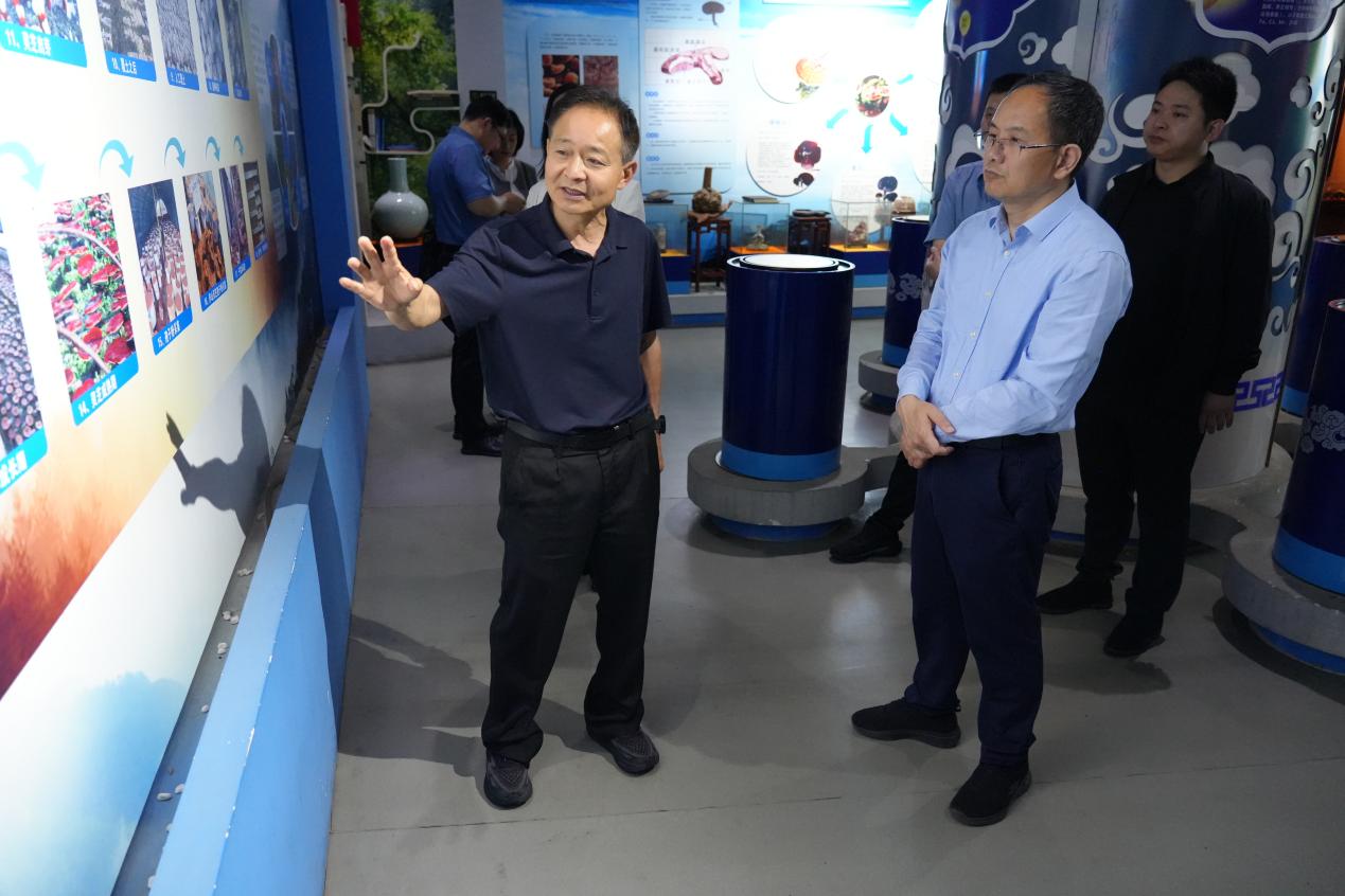 杭州亞運會官方靈芝產(chǎn)品供應商|杭州亞運會官方供應商|中國靈芝十大品牌|仙客來靈芝|仙客來靈芝破壁孢子粉|仙客來孢子油|仙客來靈芝飲片|仙客來破壁孢子粉|靈芝孢子油|孢子粉|靈芝破壁孢子粉|靈芝|中華老字號 杭州亞運會官方靈芝產(chǎn)品供應商|杭州亞運會官方供應商|中國靈芝十大品牌|仙客來靈芝|仙客來靈芝破壁孢子粉|仙客來孢子油|仙客來靈芝飲片|仙客來破壁孢子粉|靈芝孢子油|孢子粉|靈芝破壁孢子粉|靈芝|中華老字號