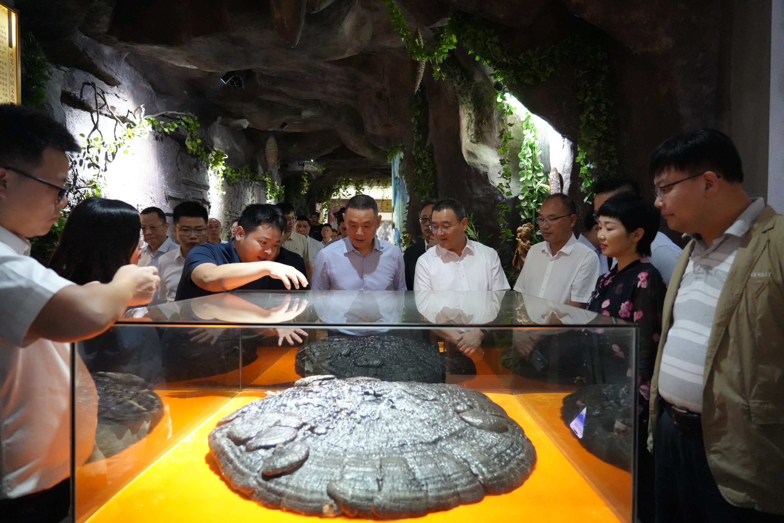 杭州亞運會官方靈芝產品供應商|杭州亞運會官方供應商|中國靈芝十大品牌|仙客來靈芝|仙客來靈芝破壁孢子粉|仙客來孢子油|仙客來靈芝飲片|仙客來破壁孢子粉|靈芝孢子油|孢子粉|靈芝破壁孢子粉|靈芝|中華老字號 杭州亞運會官方靈芝產品供應商|杭州亞運會官方供應商|中國靈芝十大品牌|仙客來靈芝|仙客來靈芝破壁孢子粉|仙客來孢子油|仙客來靈芝飲片|仙客來破壁孢子粉|靈芝孢子油|孢子粉|靈芝破壁孢子粉|靈芝|中華老字號