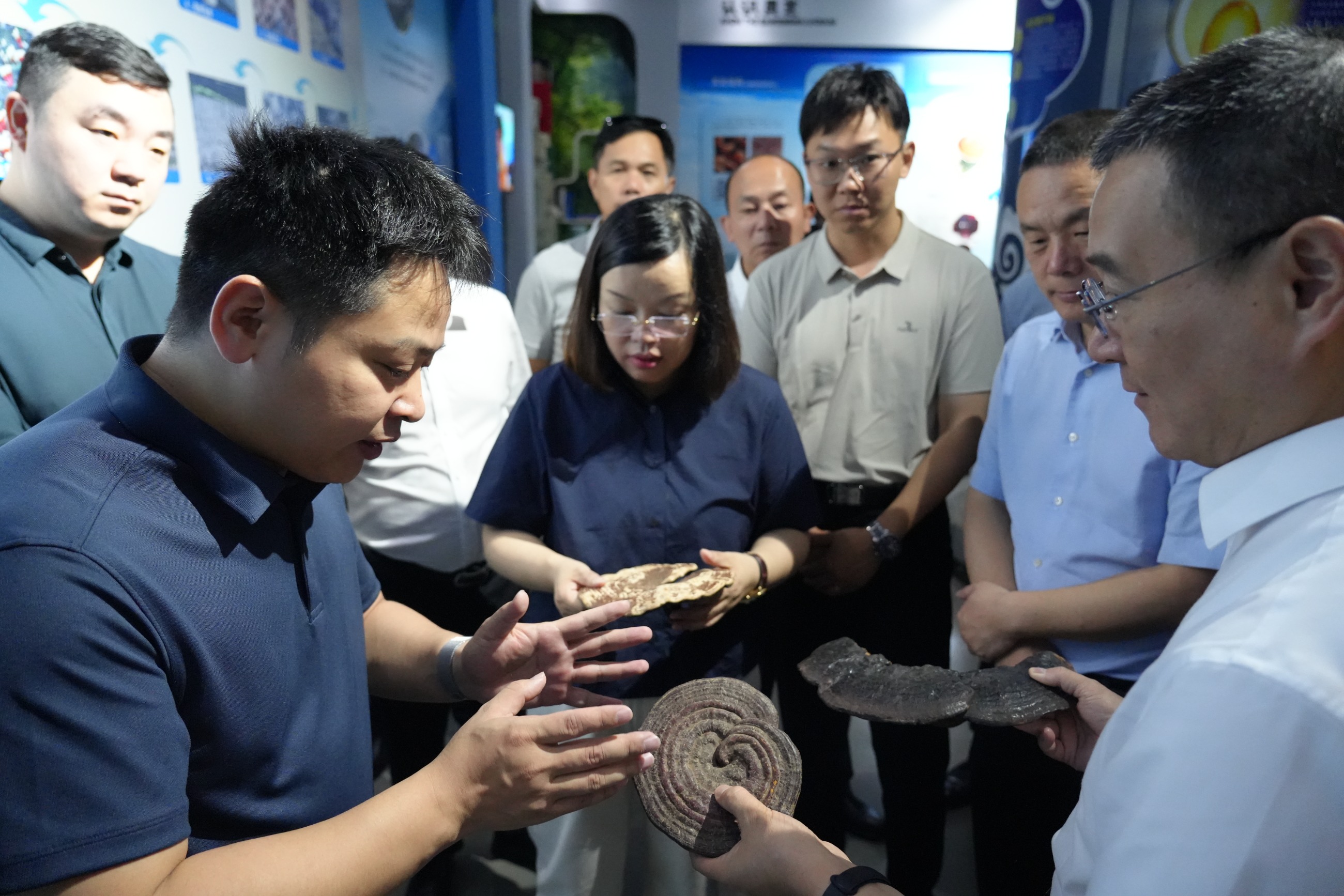 杭州亞運會官方靈芝產品供應商|杭州亞運會官方供應商|中國靈芝十大品牌|仙客來靈芝|仙客來靈芝破壁孢子粉|仙客來孢子油|仙客來靈芝飲片|仙客來破壁孢子粉|靈芝孢子油|孢子粉|靈芝破壁孢子粉|靈芝|中華老字號 杭州亞運會官方靈芝產品供應商|杭州亞運會官方供應商|中國靈芝十大品牌|仙客來靈芝|仙客來靈芝破壁孢子粉|仙客來孢子油|仙客來靈芝飲片|仙客來破壁孢子粉|靈芝孢子油|孢子粉|靈芝破壁孢子粉|靈芝|中華老字號