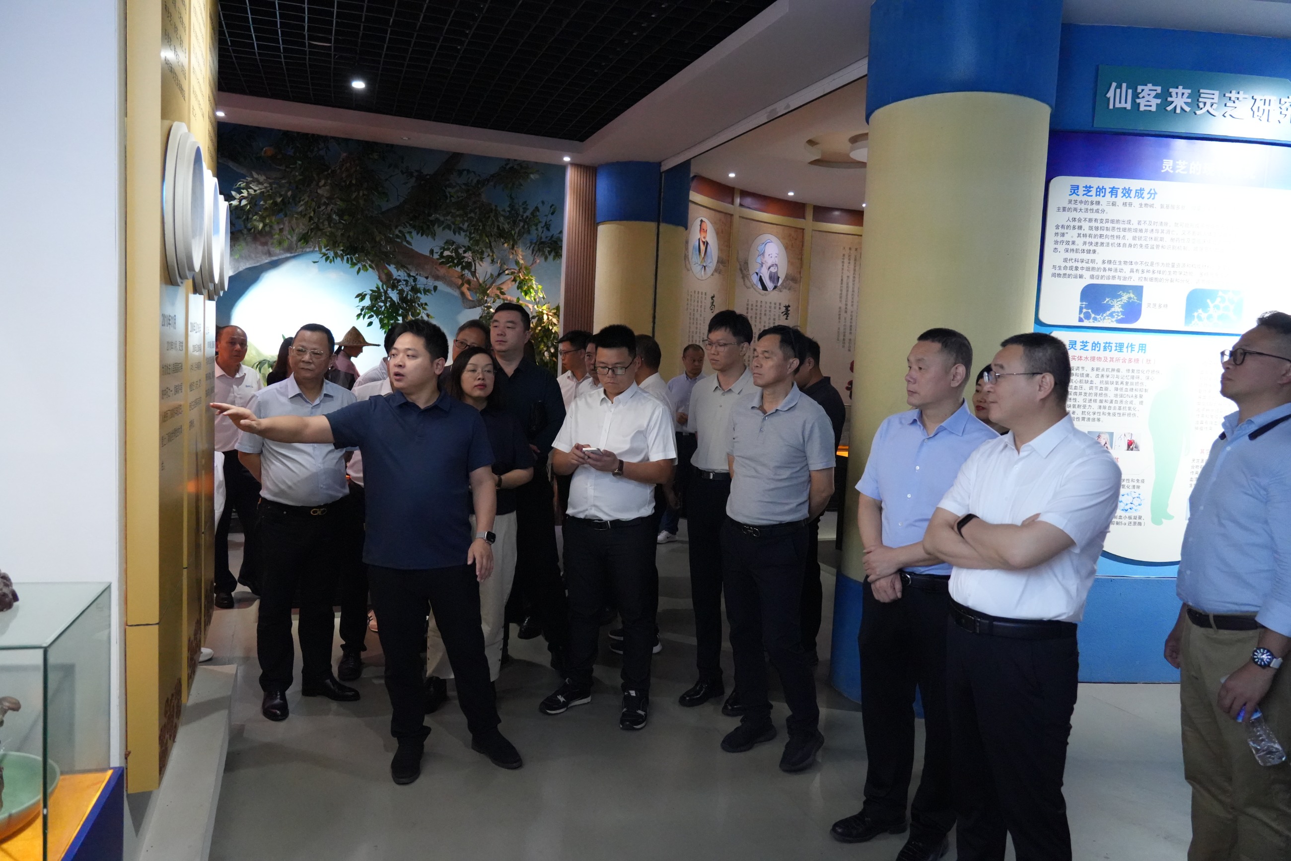 杭州亞運會官方靈芝產品供應商|杭州亞運會官方供應商|中國靈芝十大品牌|仙客來靈芝|仙客來靈芝破壁孢子粉|仙客來孢子油|仙客來靈芝飲片|仙客來破壁孢子粉|靈芝孢子油|孢子粉|靈芝破壁孢子粉|靈芝|中華老字號 杭州亞運會官方靈芝產品供應商|杭州亞運會官方供應商|中國靈芝十大品牌|仙客來靈芝|仙客來靈芝破壁孢子粉|仙客來孢子油|仙客來靈芝飲片|仙客來破壁孢子粉|靈芝孢子油|孢子粉|靈芝破壁孢子粉|靈芝|中華老字號