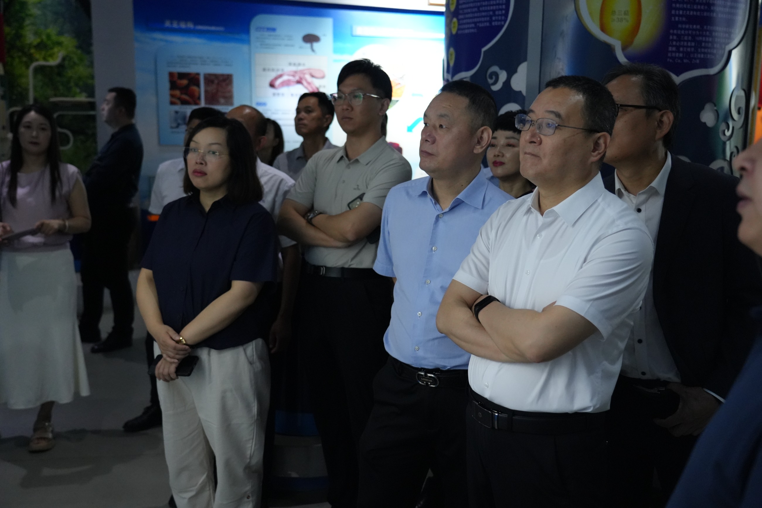 杭州亞運會官方靈芝產品供應商|杭州亞運會官方供應商|中國靈芝十大品牌|仙客來靈芝|仙客來靈芝破壁孢子粉|仙客來孢子油|仙客來靈芝飲片|仙客來破壁孢子粉|靈芝孢子油|孢子粉|靈芝破壁孢子粉|靈芝|中華老字號 杭州亞運會官方靈芝產品供應商|杭州亞運會官方供應商|中國靈芝十大品牌|仙客來靈芝|仙客來靈芝破壁孢子粉|仙客來孢子油|仙客來靈芝飲片|仙客來破壁孢子粉|靈芝孢子油|孢子粉|靈芝破壁孢子粉|靈芝|中華老字號