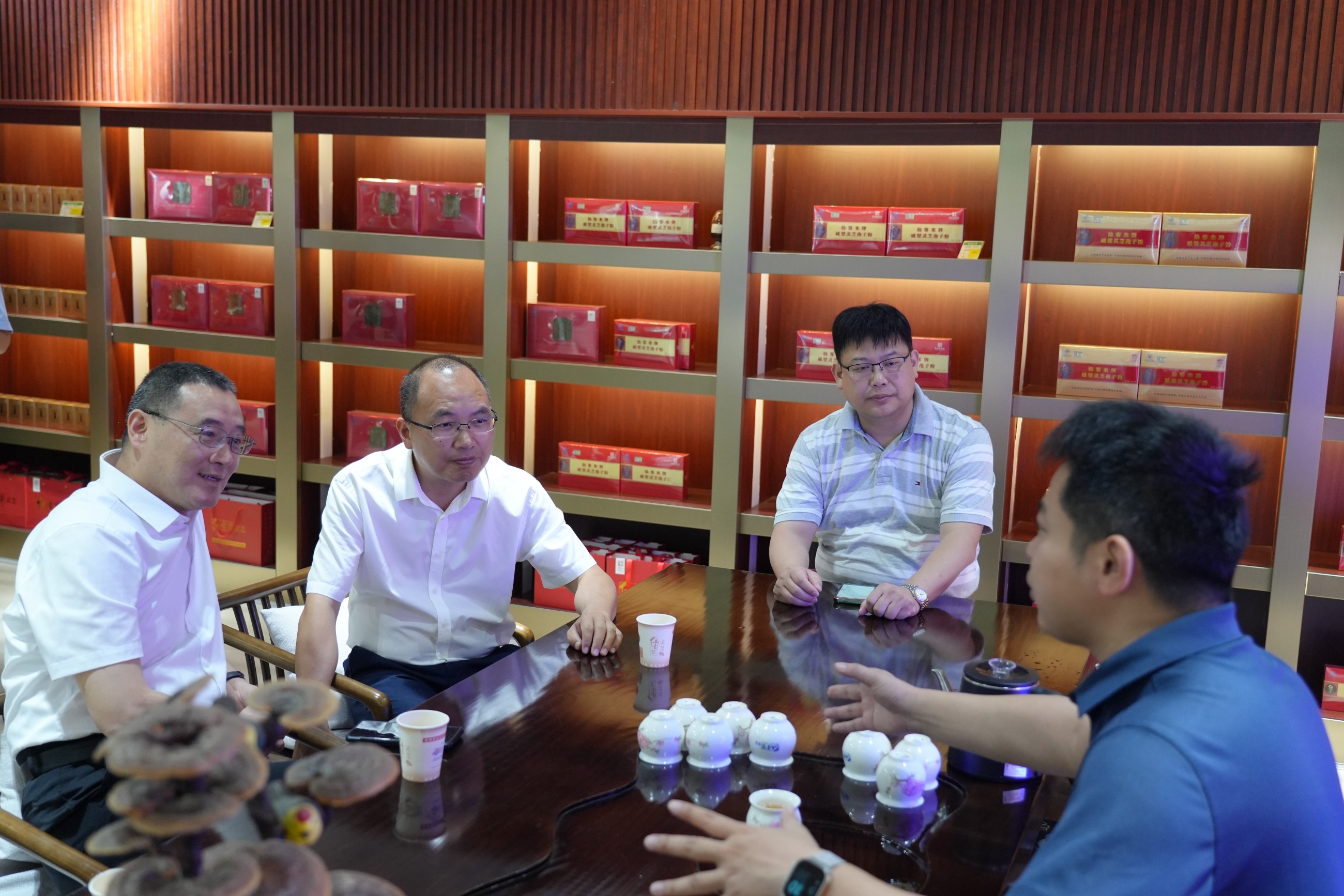 杭州亞運會官方靈芝產品供應商|杭州亞運會官方供應商|中國靈芝十大品牌|仙客來靈芝|仙客來靈芝破壁孢子粉|仙客來孢子油|仙客來靈芝飲片|仙客來破壁孢子粉|靈芝孢子油|孢子粉|靈芝破壁孢子粉|靈芝|中華老字號 杭州亞運會官方靈芝產品供應商|杭州亞運會官方供應商|中國靈芝十大品牌|仙客來靈芝|仙客來靈芝破壁孢子粉|仙客來孢子油|仙客來靈芝飲片|仙客來破壁孢子粉|靈芝孢子油|孢子粉|靈芝破壁孢子粉|靈芝|中華老字號