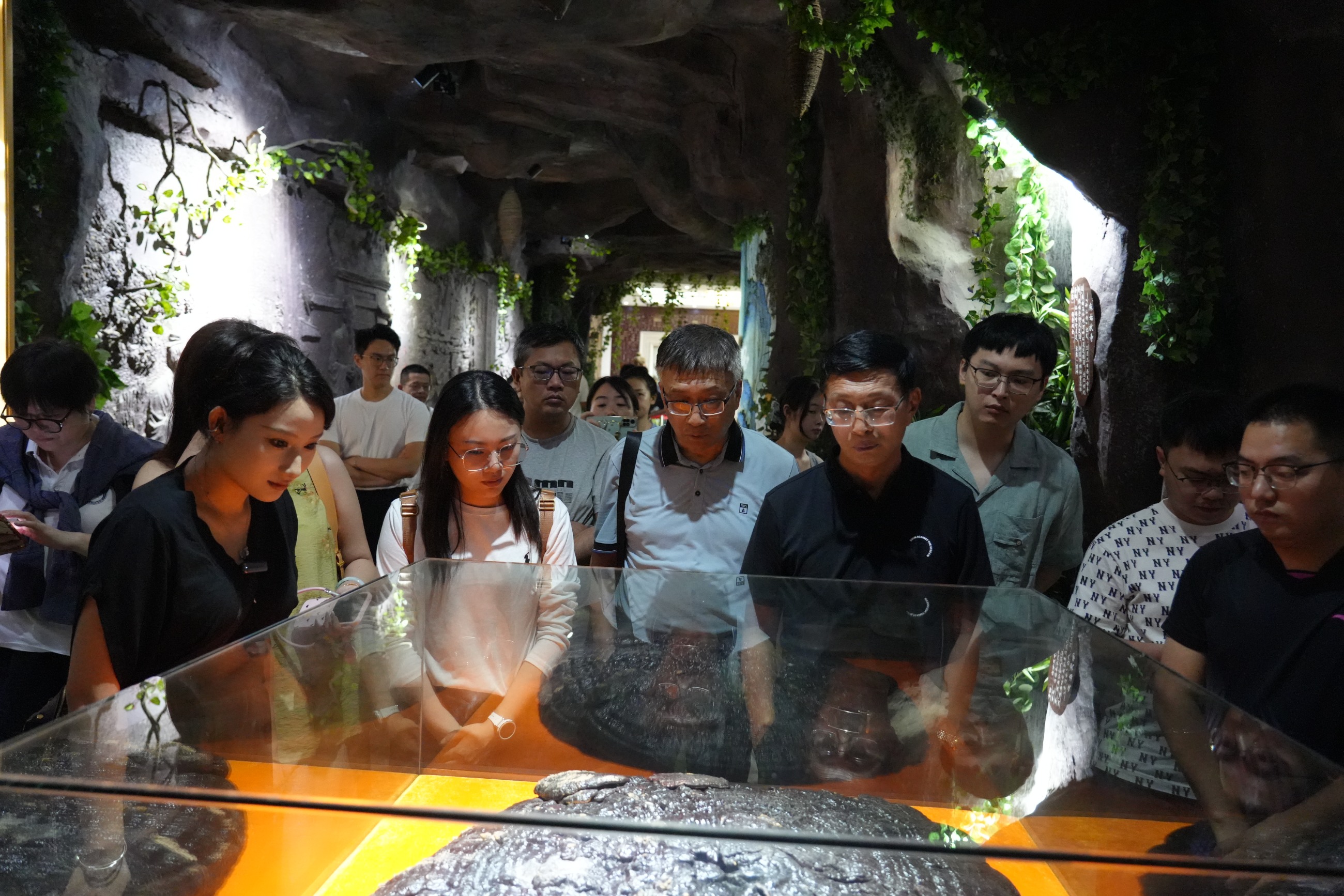 杭州亞運(yùn)會(huì)官方靈芝產(chǎn)品供應(yīng)商|杭州亞運(yùn)會(huì)官方供應(yīng)商|中國(guó)靈芝十大品牌|仙客來靈芝|仙客來靈芝破壁孢子粉|仙客來孢子油|仙客來靈芝飲片|仙客來破壁孢子粉|靈芝孢子油|孢子粉|靈芝破壁孢子粉|靈芝|中華老字號(hào) 杭州亞運(yùn)會(huì)官方靈芝產(chǎn)品供應(yīng)商|杭州亞運(yùn)會(huì)官方供應(yīng)商|中國(guó)靈芝十大品牌|仙客來靈芝|仙客來靈芝破壁孢子粉|仙客來孢子油|仙客來靈芝飲片|仙客來破壁孢子粉|靈芝孢子油|孢子粉|靈芝破壁孢子粉|靈芝|中華老字號(hào)