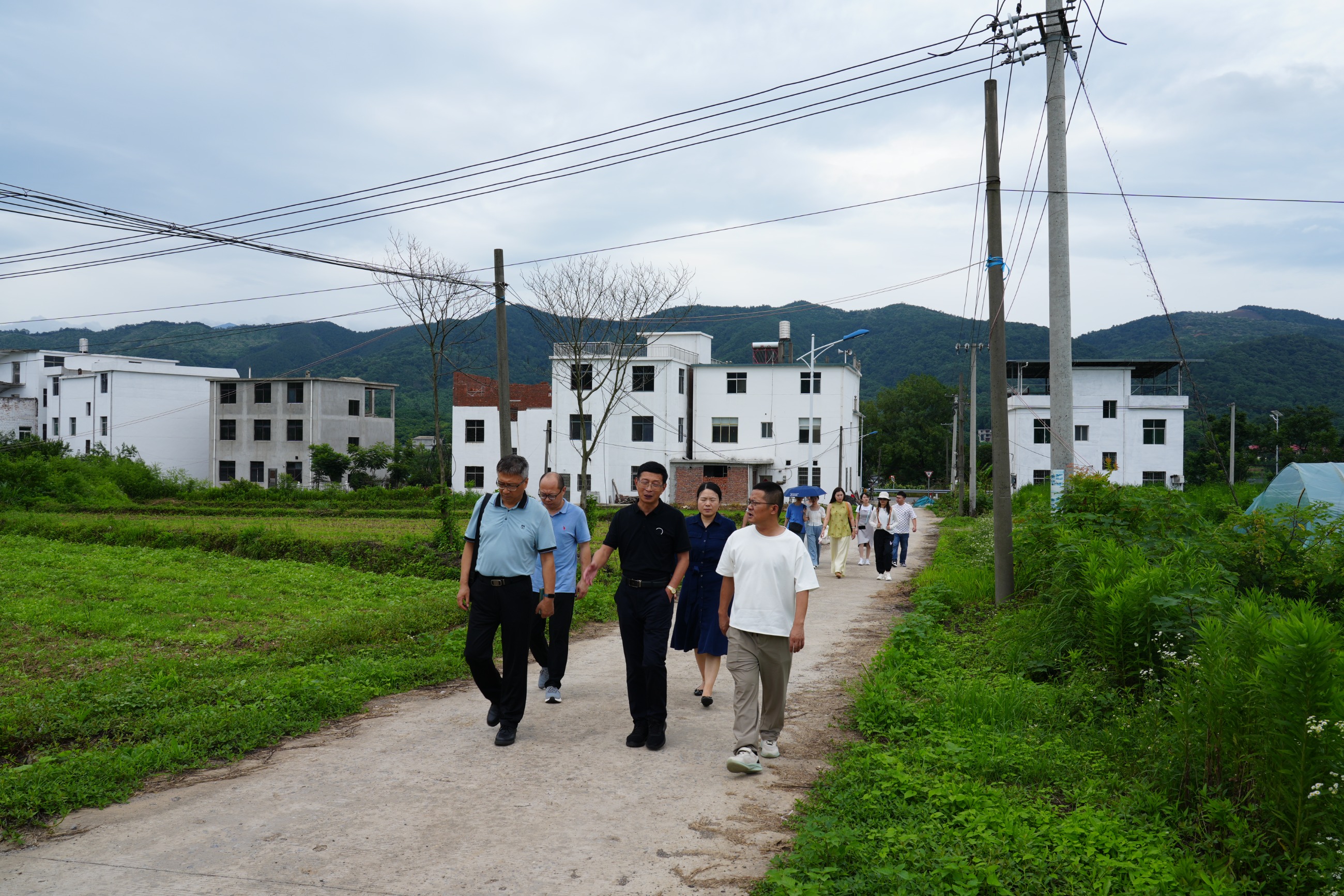 杭州亞運(yùn)會(huì)官方靈芝產(chǎn)品供應(yīng)商|杭州亞運(yùn)會(huì)官方供應(yīng)商|中國(guó)靈芝十大品牌|仙客來靈芝|仙客來靈芝破壁孢子粉|仙客來孢子油|仙客來靈芝飲片|仙客來破壁孢子粉|靈芝孢子油|孢子粉|靈芝破壁孢子粉|靈芝|中華老字號(hào) 杭州亞運(yùn)會(huì)官方靈芝產(chǎn)品供應(yīng)商|杭州亞運(yùn)會(huì)官方供應(yīng)商|中國(guó)靈芝十大品牌|仙客來靈芝|仙客來靈芝破壁孢子粉|仙客來孢子油|仙客來靈芝飲片|仙客來破壁孢子粉|靈芝孢子油|孢子粉|靈芝破壁孢子粉|靈芝|中華老字號(hào)