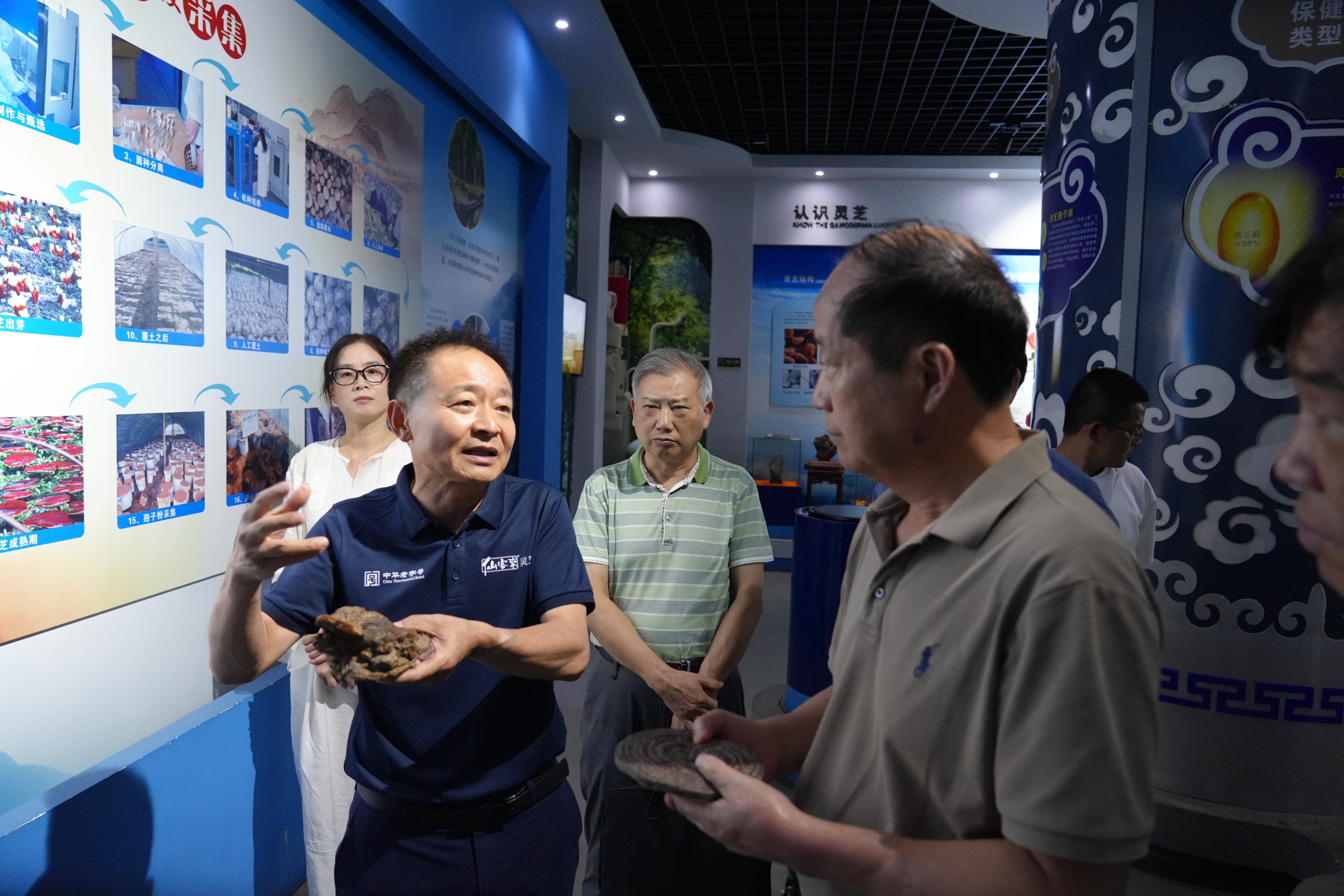 杭州亞運(yùn)會(huì)官方靈芝產(chǎn)品供應(yīng)商|杭州亞運(yùn)會(huì)官方供應(yīng)商|中國(guó)靈芝十大品牌|仙客來(lái)靈芝|仙客來(lái)靈芝破壁孢子粉|仙客來(lái)孢子油|仙客來(lái)靈芝飲片|仙客來(lái)破壁孢子粉|靈芝孢子油|孢子粉|靈芝破壁孢子粉|靈芝|中華老字號(hào) 杭州亞運(yùn)會(huì)官方靈芝產(chǎn)品供應(yīng)商|杭州亞運(yùn)會(huì)官方供應(yīng)商|中國(guó)靈芝十大品牌|仙客來(lái)靈芝|仙客來(lái)靈芝破壁孢子粉|仙客來(lái)孢子油|仙客來(lái)靈芝飲片|仙客來(lái)破壁孢子粉|靈芝孢子油|孢子粉|靈芝破壁孢子粉|靈芝|中華老字號(hào)