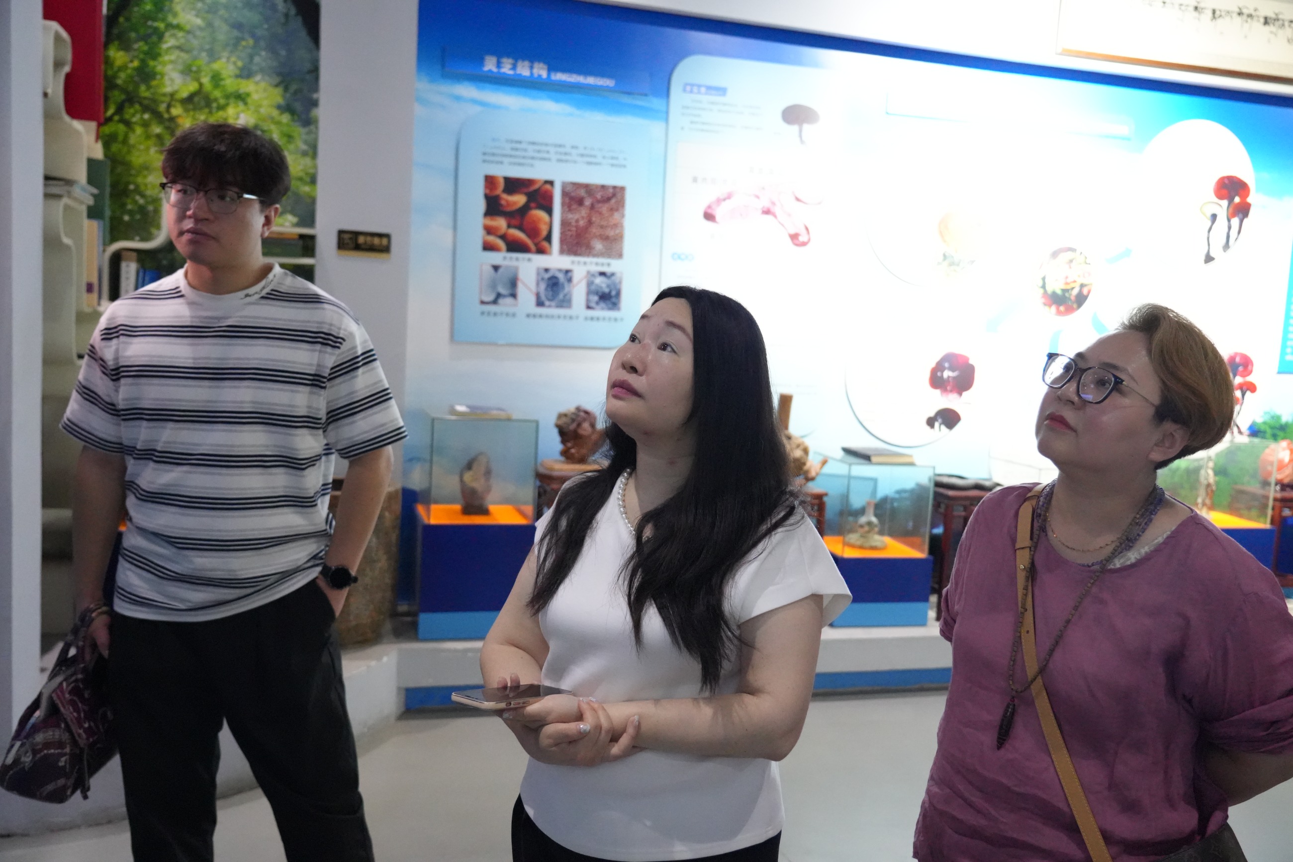 杭州亞運會官方靈芝產品供應商|杭州亞運會官方供應商|中國靈芝十大品牌|仙客來靈芝|仙客來靈芝破壁孢子粉|仙客來孢子油|仙客來靈芝飲片|仙客來破壁孢子粉|靈芝孢子油|孢子粉|靈芝破壁孢子粉|靈芝|中華老字號 杭州亞運會官方靈芝產品供應商|杭州亞運會官方供應商|中國靈芝十大品牌|仙客來靈芝|仙客來靈芝破壁孢子粉|仙客來孢子油|仙客來靈芝飲片|仙客來破壁孢子粉|靈芝孢子油|孢子粉|靈芝破壁孢子粉|靈芝|中華老字號