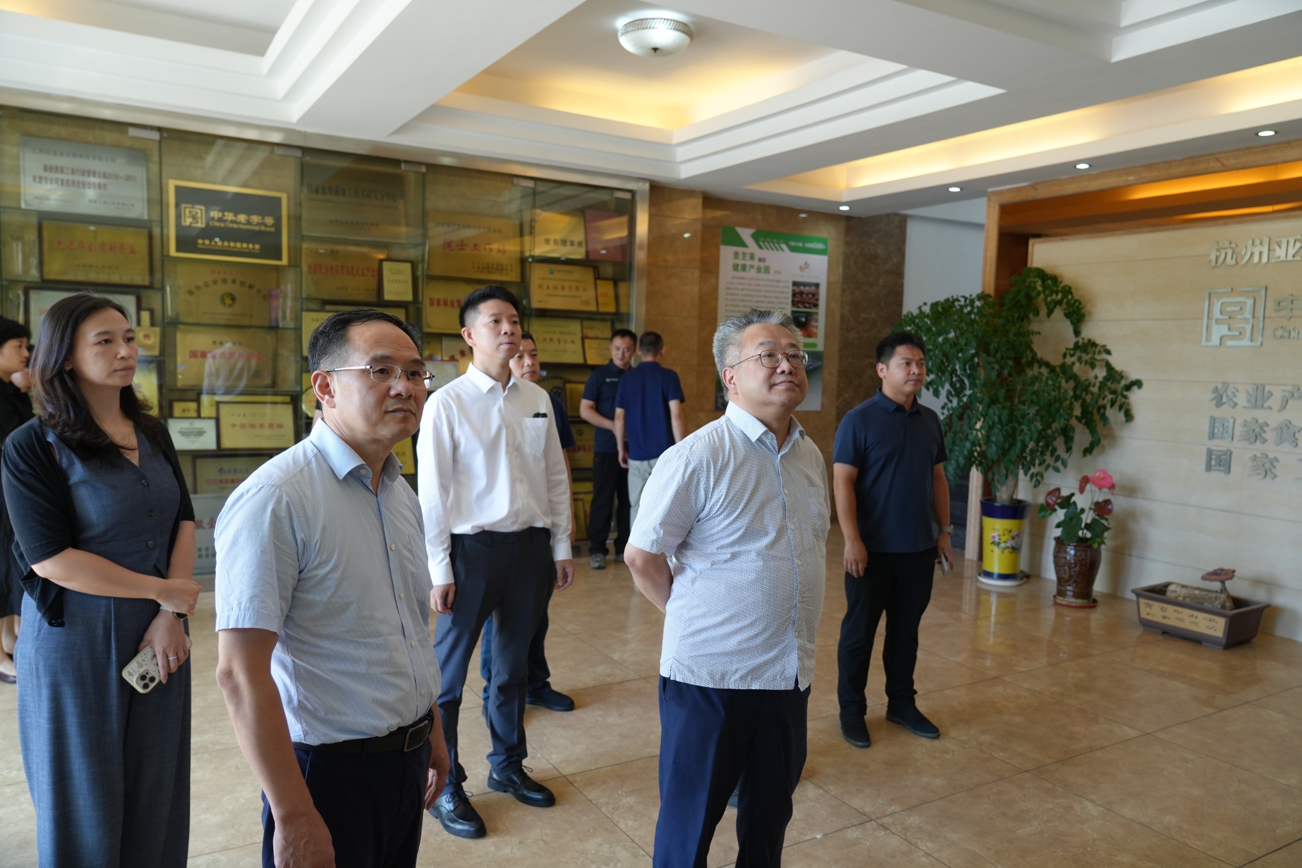 杭州亞運(yùn)會(huì)官方靈芝產(chǎn)品供應(yīng)商|杭州亞運(yùn)會(huì)官方供應(yīng)商|中國(guó)靈芝十大品牌|仙客來(lái)靈芝|仙客來(lái)靈芝破壁孢子粉|仙客來(lái)孢子油|仙客來(lái)靈芝飲片|仙客來(lái)破壁孢子粉|靈芝孢子油|孢子粉|靈芝破壁孢子粉|靈芝|中華老字號(hào) 杭州亞運(yùn)會(huì)官方靈芝產(chǎn)品供應(yīng)商|杭州亞運(yùn)會(huì)官方供應(yīng)商|中國(guó)靈芝十大品牌|仙客來(lái)靈芝|仙客來(lái)靈芝破壁孢子粉|仙客來(lái)孢子油|仙客來(lái)靈芝飲片|仙客來(lái)破壁孢子粉|靈芝孢子油|孢子粉|靈芝破壁孢子粉|靈芝|中華老字號(hào)