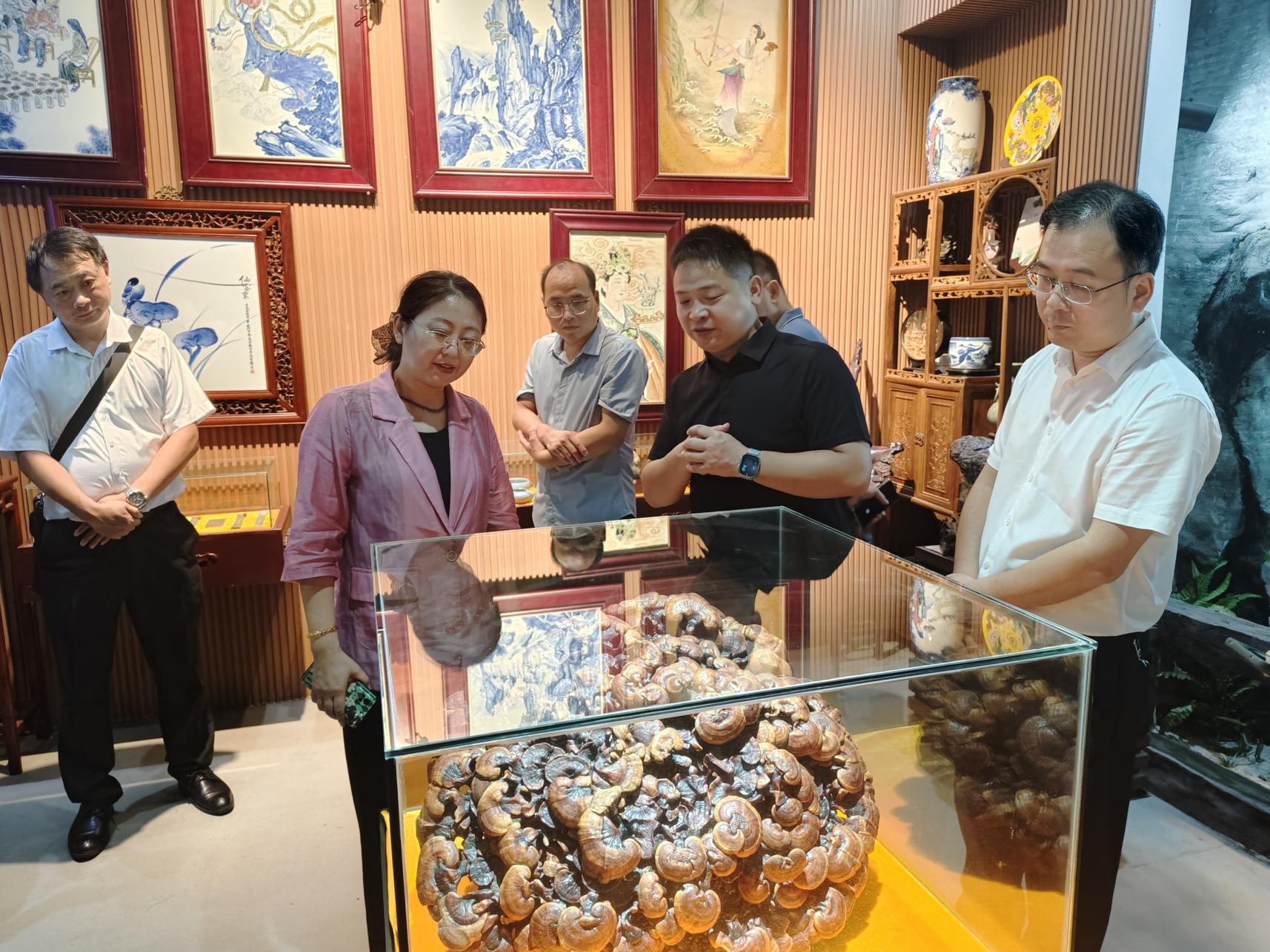 杭州亞運會官方靈芝產(chǎn)品供應商|杭州亞運會官方供應商|中國靈芝十大品牌|仙客來靈芝|仙客來靈芝破壁孢子粉|仙客來孢子油|仙客來靈芝飲片|仙客來破壁孢子粉|靈芝孢子油|孢子粉|靈芝破壁孢子粉|靈芝|中華老字號 杭州亞運會官方靈芝產(chǎn)品供應商|杭州亞運會官方供應商|中國靈芝十大品牌|仙客來靈芝|仙客來靈芝破壁孢子粉|仙客來孢子油|仙客來靈芝飲片|仙客來破壁孢子粉|靈芝孢子油|孢子粉|靈芝破壁孢子粉|靈芝|中華老字號