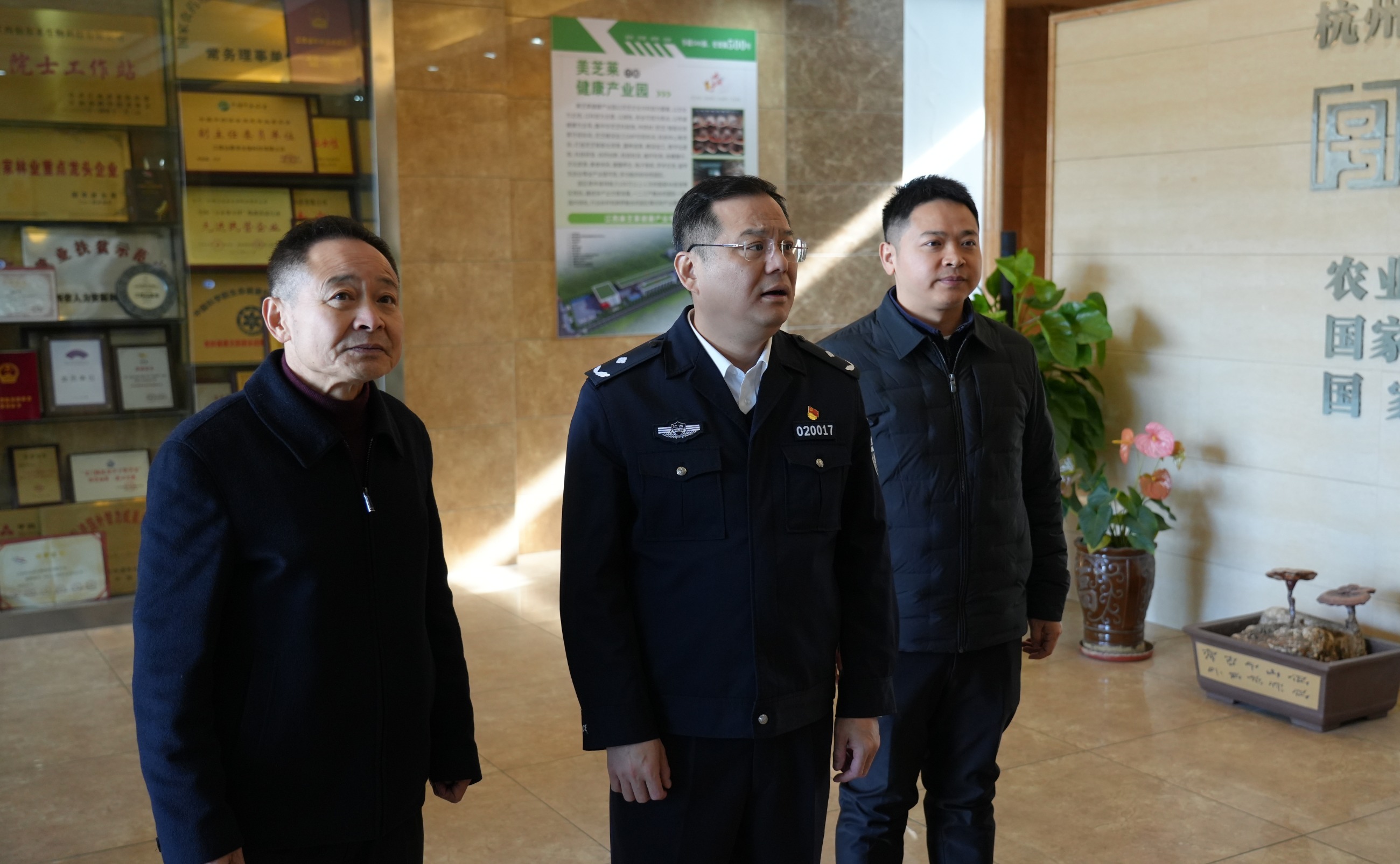 杭州亞運會官方靈芝產品供應商|杭州亞運會官方供應商|中國靈芝十大品牌|仙客來靈芝|仙客來靈芝破壁孢子粉|仙客來孢子油|仙客來靈芝飲片|仙客來破壁孢子粉|靈芝孢子油|孢子粉|靈芝破壁孢子粉|靈芝|中華老字號 杭州亞運會官方靈芝產品供應商|杭州亞運會官方供應商|中國靈芝十大品牌|仙客來靈芝|仙客來靈芝破壁孢子粉|仙客來孢子油|仙客來靈芝飲片|仙客來破壁孢子粉|靈芝孢子油|孢子粉|靈芝破壁孢子粉|靈芝|中華老字號