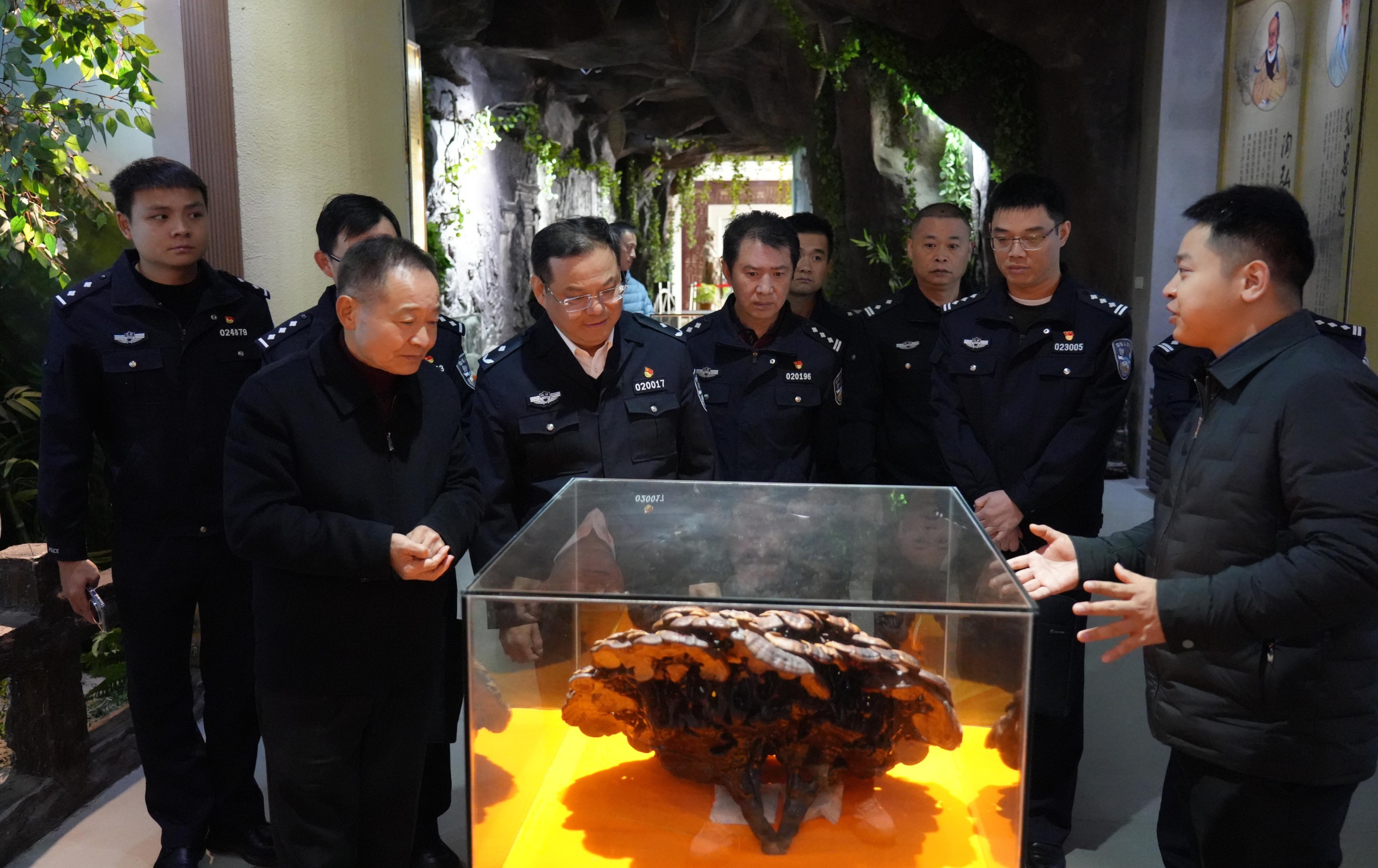 杭州亞運會官方靈芝產品供應商|杭州亞運會官方供應商|中國靈芝十大品牌|仙客來靈芝|仙客來靈芝破壁孢子粉|仙客來孢子油|仙客來靈芝飲片|仙客來破壁孢子粉|靈芝孢子油|孢子粉|靈芝破壁孢子粉|靈芝|中華老字號 杭州亞運會官方靈芝產品供應商|杭州亞運會官方供應商|中國靈芝十大品牌|仙客來靈芝|仙客來靈芝破壁孢子粉|仙客來孢子油|仙客來靈芝飲片|仙客來破壁孢子粉|靈芝孢子油|孢子粉|靈芝破壁孢子粉|靈芝|中華老字號