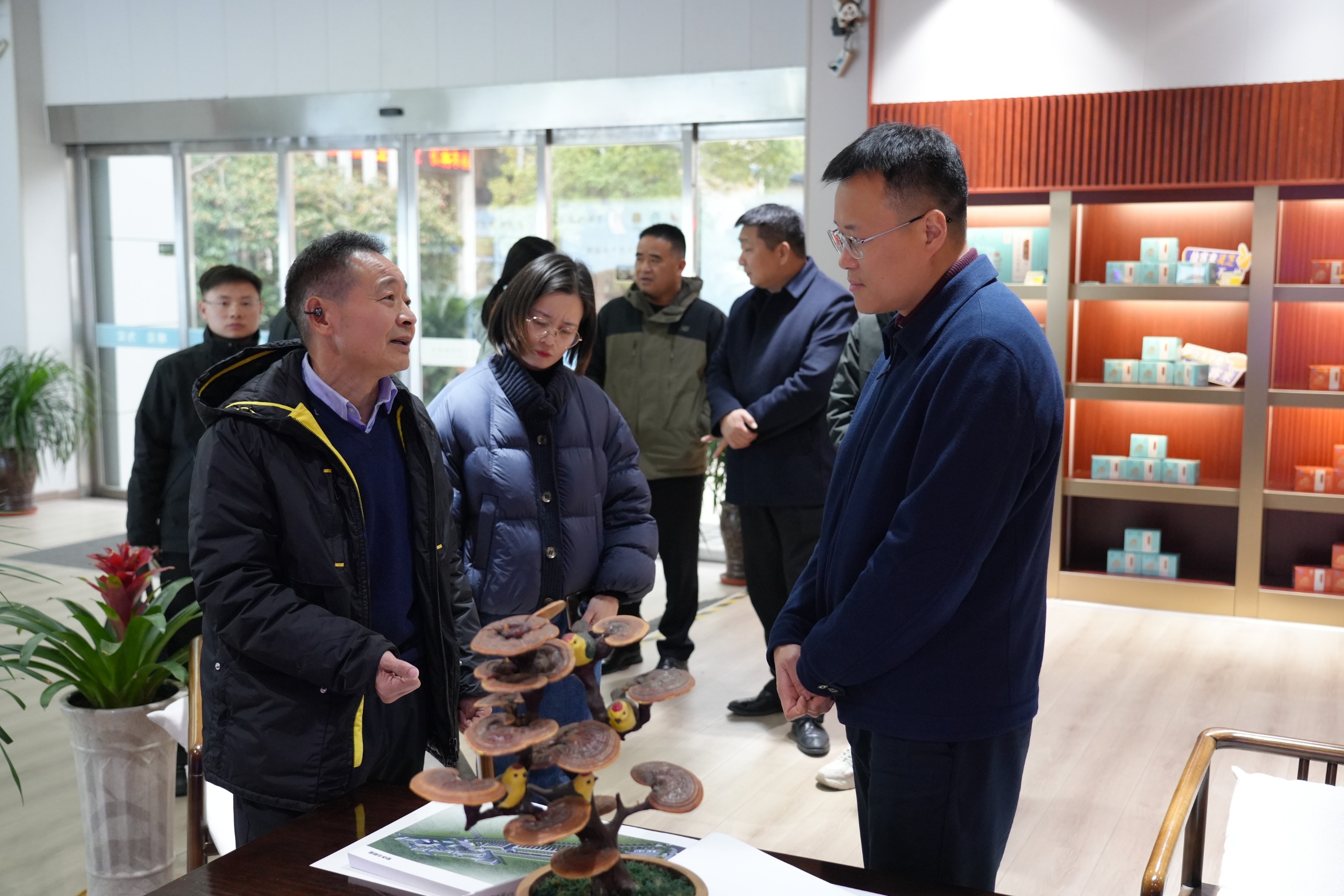 杭州亞運會官方靈芝產(chǎn)品供應商|杭州亞運會官方供應商|中國靈芝十大品牌|仙客來靈芝|仙客來靈芝破壁孢子粉|仙客來孢子油|仙客來靈芝飲片|仙客來破壁孢子粉|靈芝孢子油|孢子粉|靈芝破壁孢子粉|靈芝|中華老字號