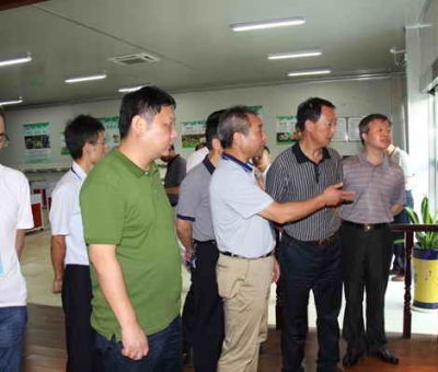 德安縣委、人大、政協(xié)領(lǐng)導(dǎo)考察仙客來公司