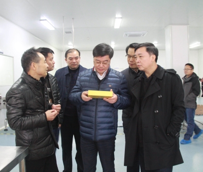 江西省檢察院黨組成員、副檢察長(zhǎng)徐勝平一行來公司走訪調(diào)研