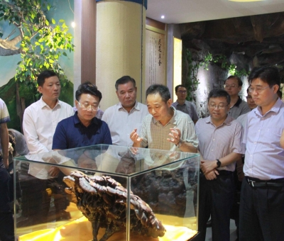 &ldquo;降成本，優(yōu)環(huán)境&rdquo;助企業(yè)騰飛&mdash;&mdash;江西省政協(xié)副主席率團調(diào)研仙客來！