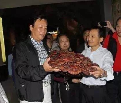 這樣過三月才是人生贏家！