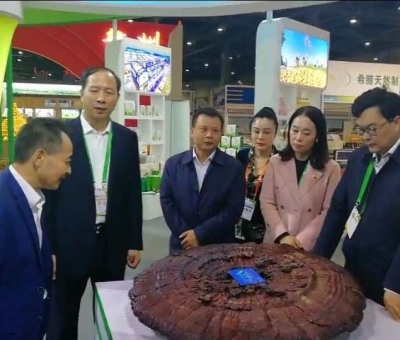 仙客來綠色有機靈芝在第十七屆中國國際農(nóng)產(chǎn)品交易會一展風(fēng)采