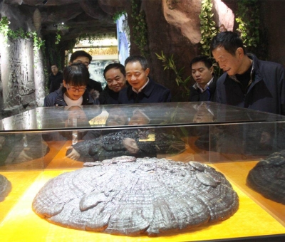 國家民委領(lǐng)導蒞臨仙客來公司考察調(diào)研