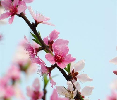 清明小長假謹防疫情！健康長壽請謹記這“三個字”