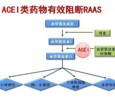 不吃藥，能降低高血壓？