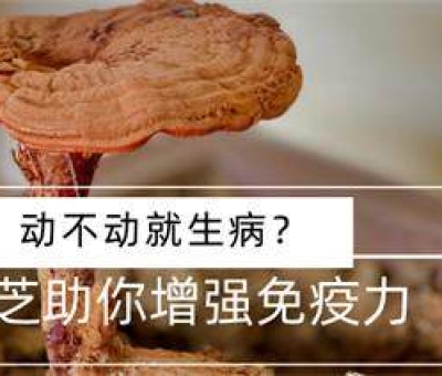 冬病夏治-如何調(diào)養(yǎng)身體？