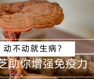 靈芝，預(yù)防您夏季上“火”