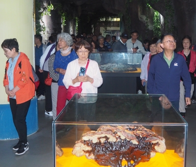 深深靈芝情！中華全國供銷合作總社再訪仙客來