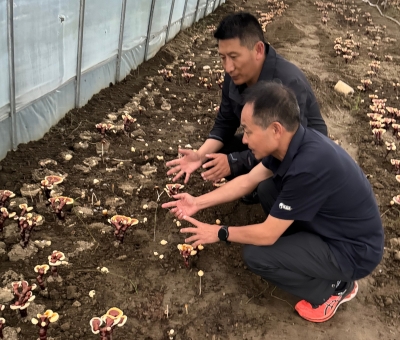 助力少數(shù)民族地區(qū)發(fā)展！潘新華應邀前往西藏拉薩市和林芝市 共商產(chǎn)業(yè)發(fā)展良策