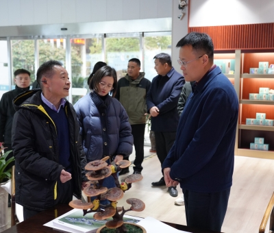 盛煒書記蒞臨仙客來調(diào)研